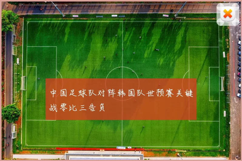 中国足球队对阵韩国队世预赛关键战零比三告负