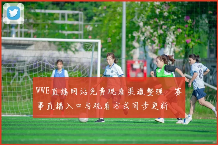 WWE直播网站免费观看渠道整理　赛事直播入口与观看方式同步更新