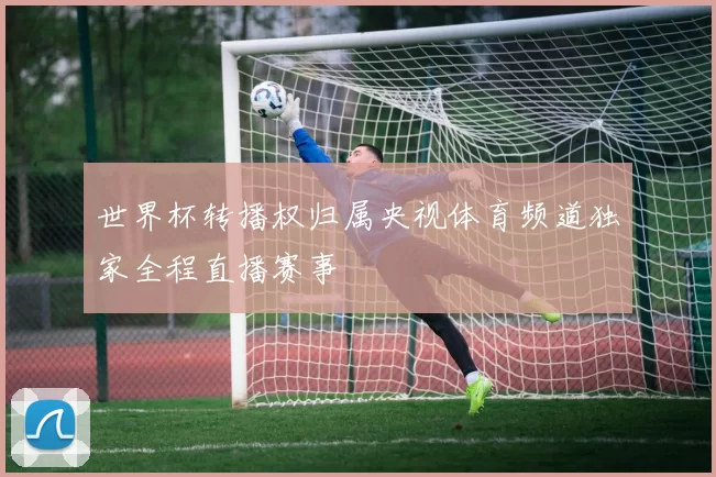 世界杯转播权归属央视体育频道独家全程直播赛事