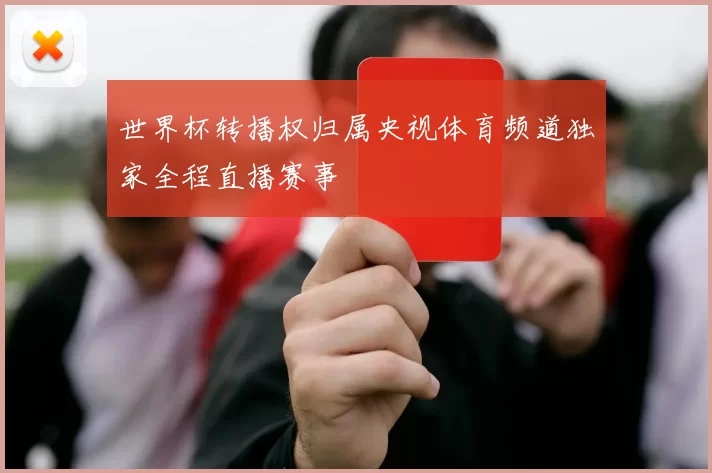 世界杯转播权归属央视体育频道独家全程直播赛事